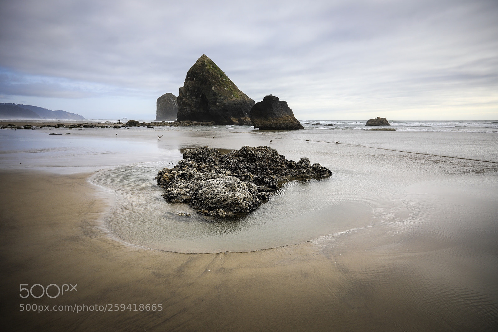 Canon EOS 5D Mark IV sample photo. Oregon revisited photography