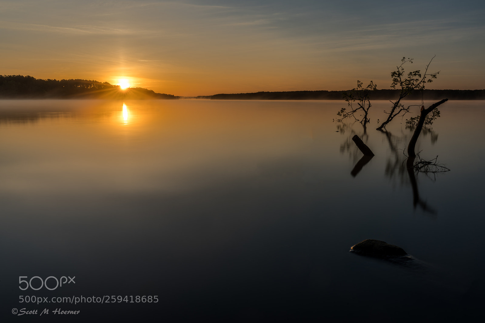Sony a7R III sample photo. Misty sunrise tree photography