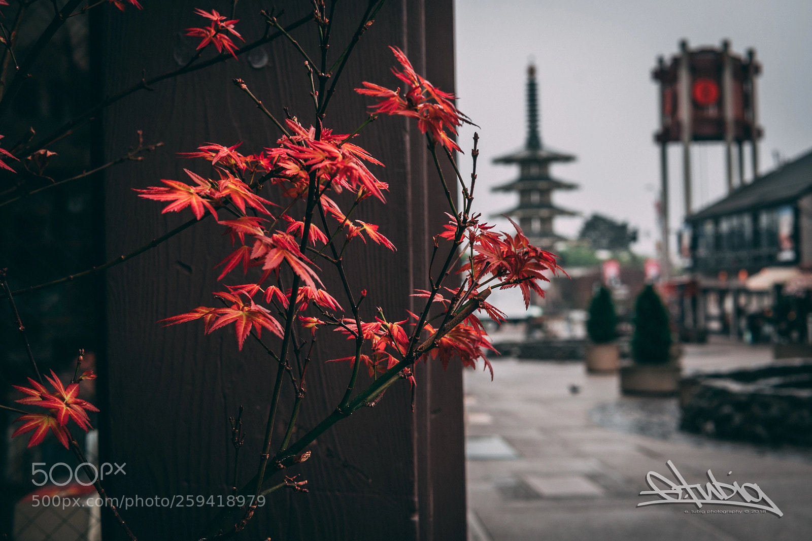 Sony a6500 sample photo. Little tokyo, san francisco photography