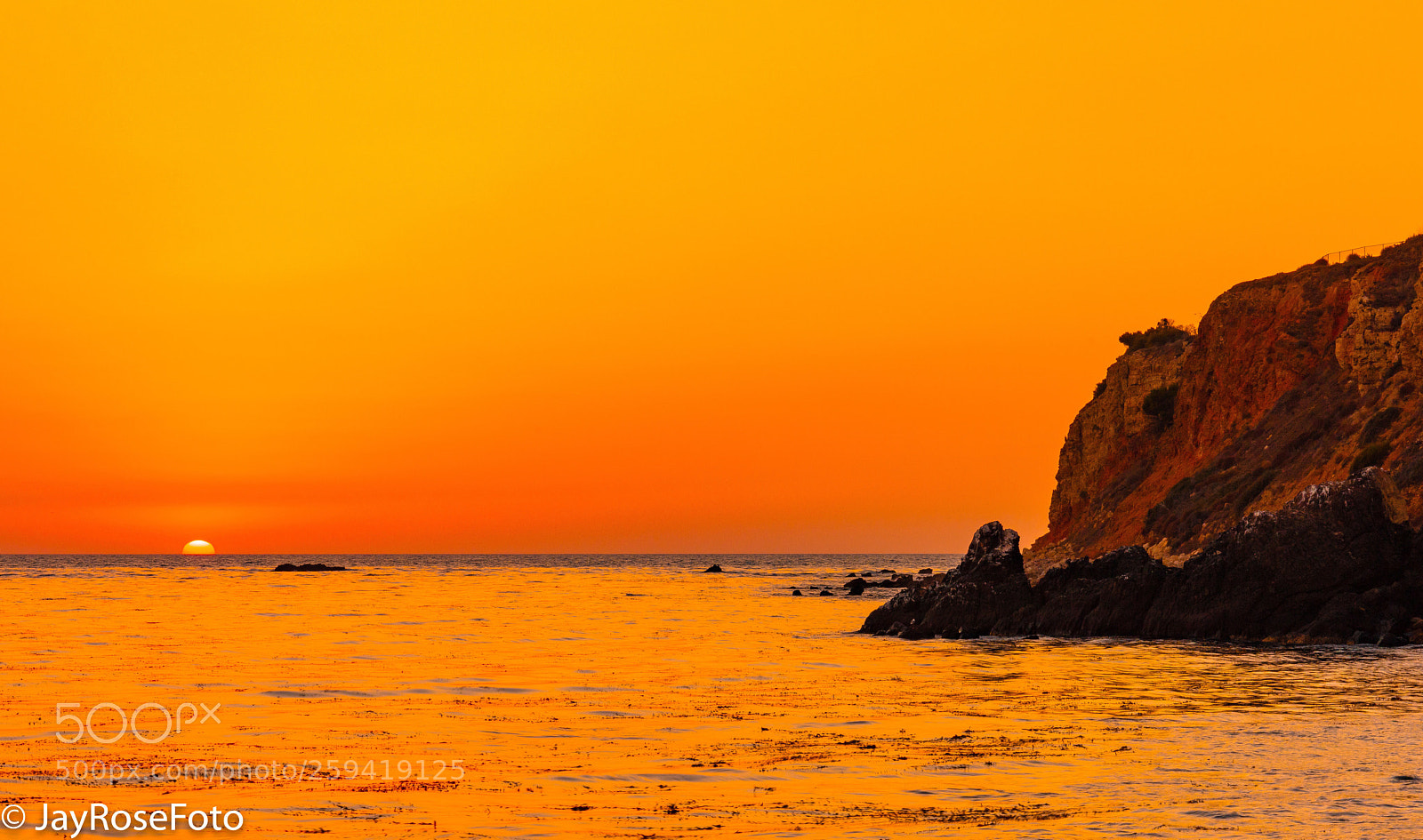 Canon EOS 5DS R sample photo. Orange bliss photography