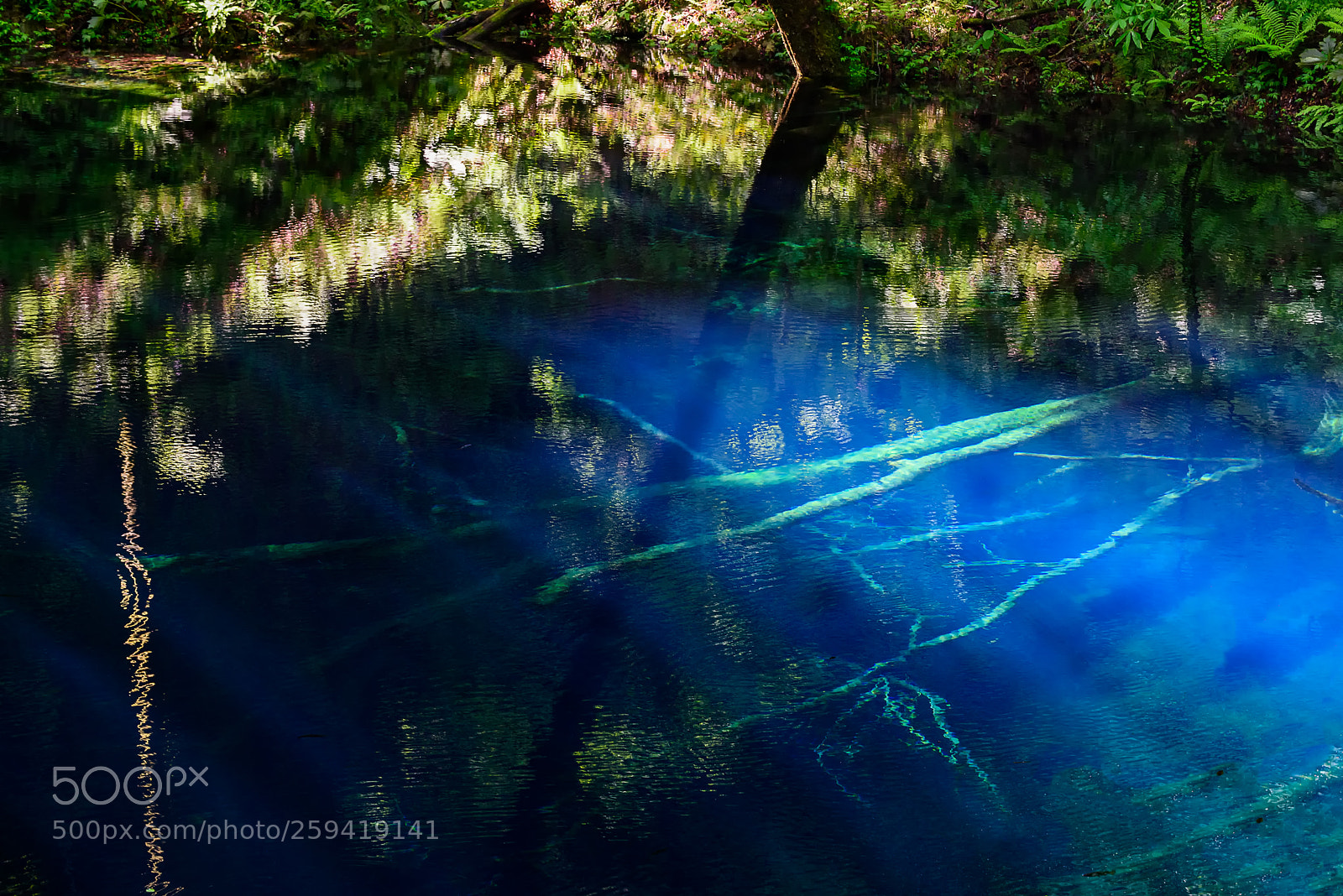 Nikon D810 sample photo. Blue pond photography