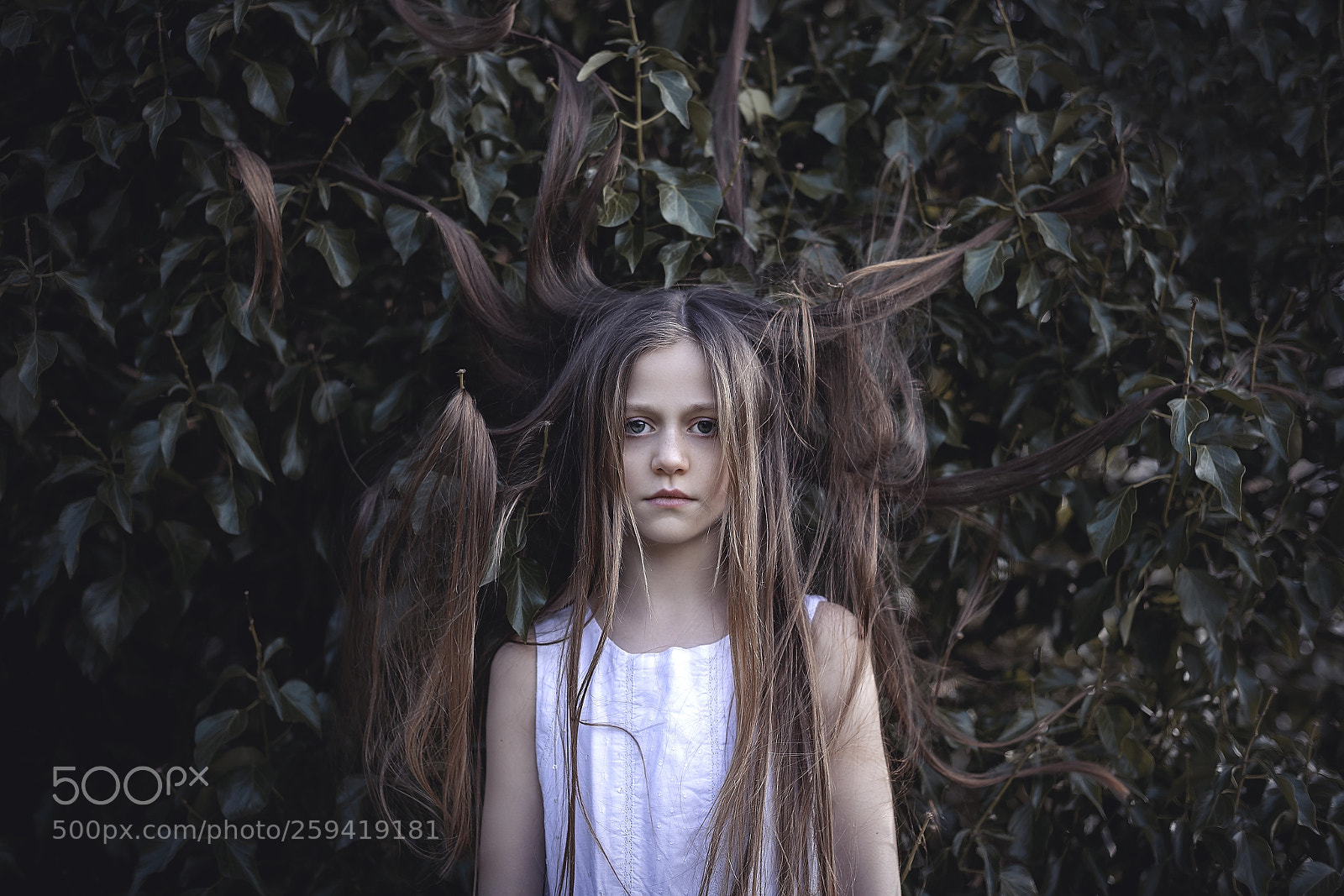 Nikon D750 sample photo. Tangled photography