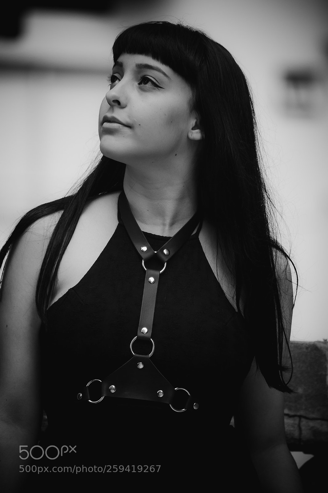 Nikon D3100 sample photo. Celeste photography