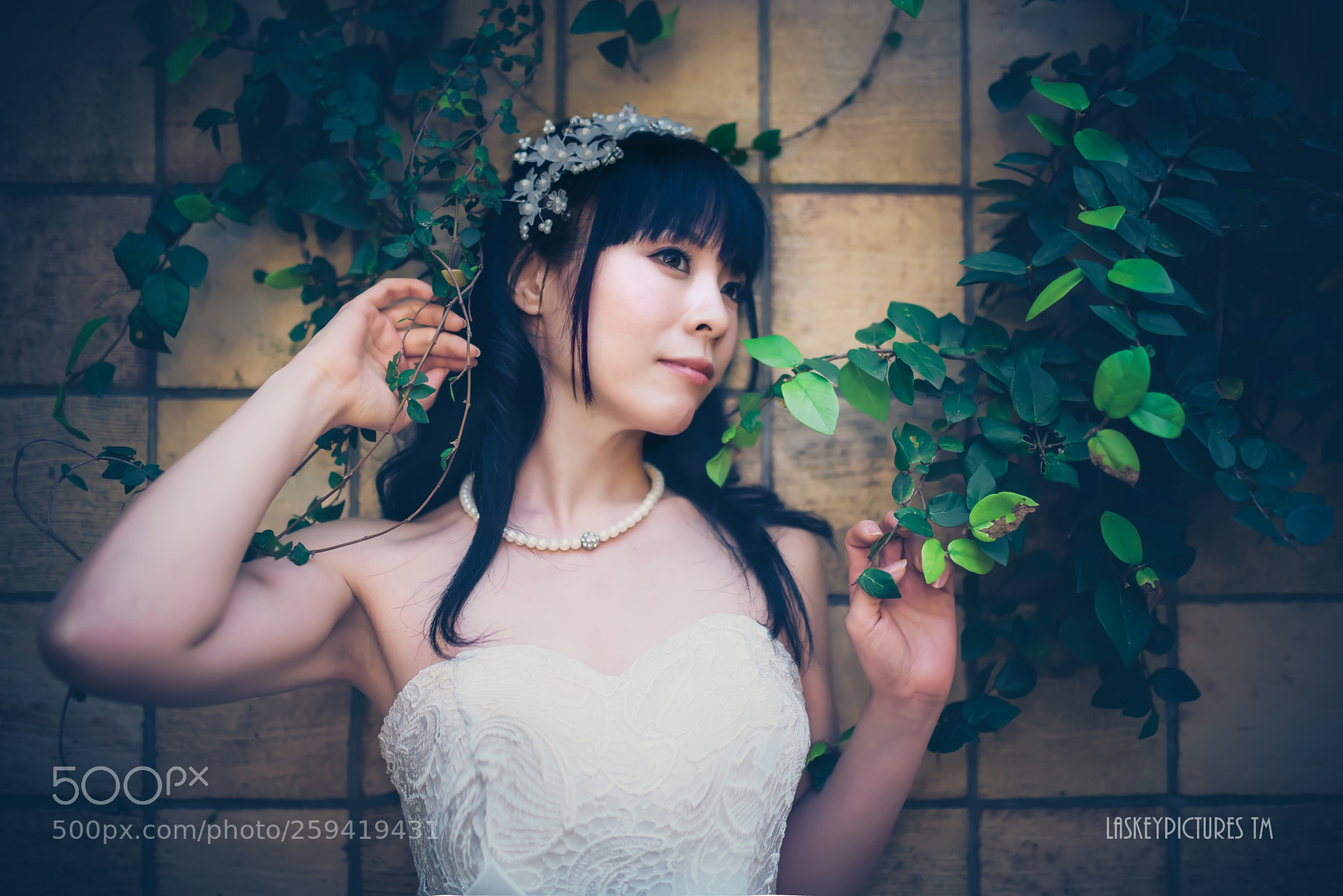 Nikon D850 sample photo. Satori photography