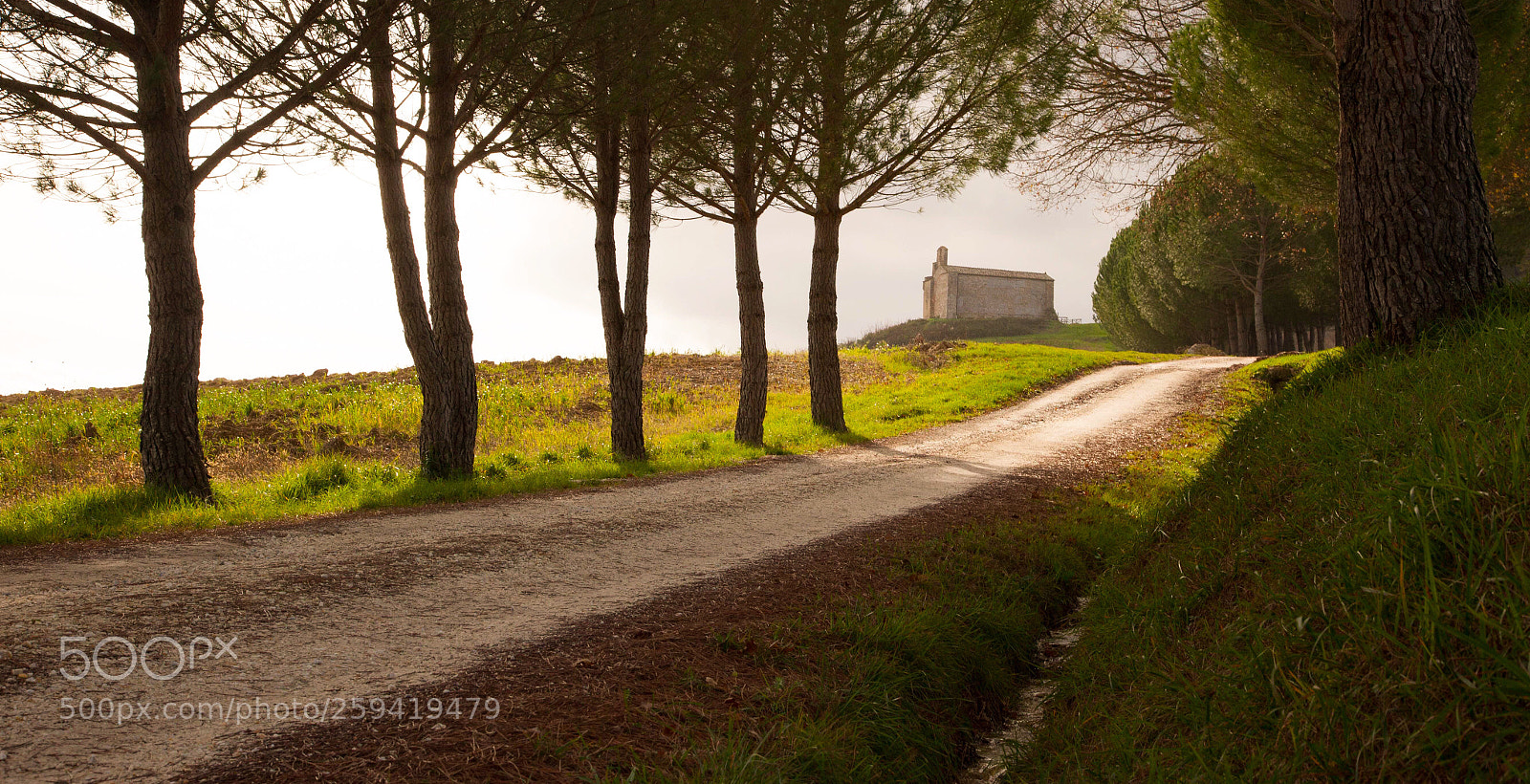Canon EOS 5D Mark II sample photo. Untitled photography