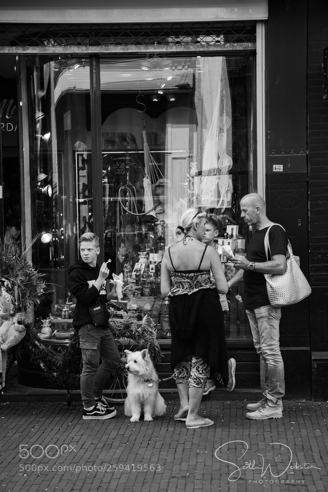Sony a7R III sample photo. Ice cream, maps & dogs photography