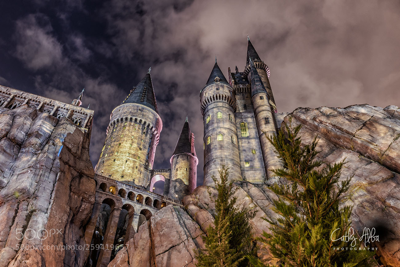 Nikon D750 sample photo. Hogwarts castle photography