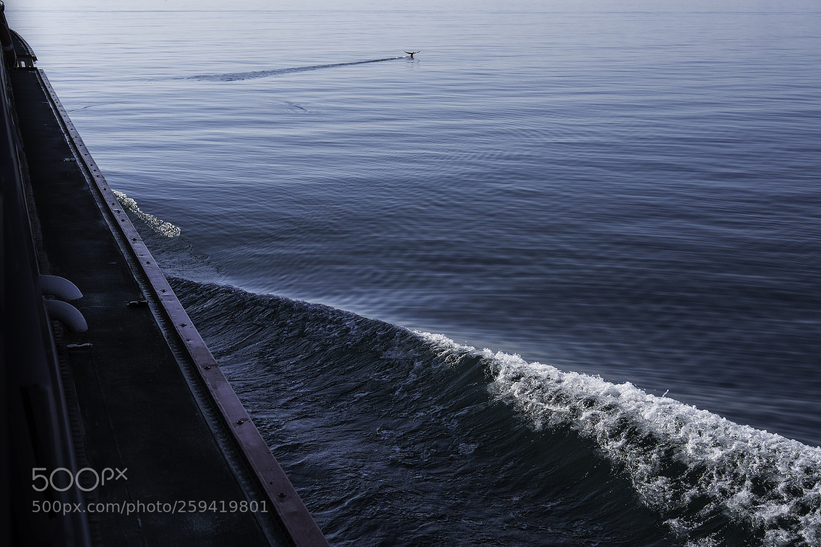 Fujifilm X-T1 sample photo. Successful escape photography