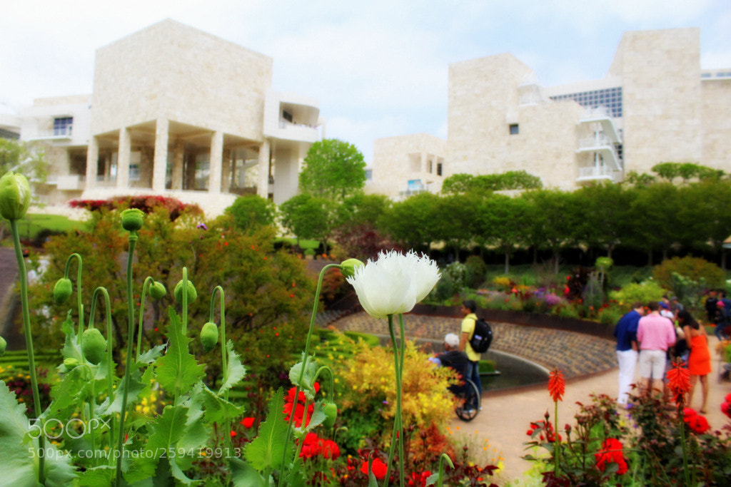 Canon EOS 1200D (EOS Rebel T5 / EOS Kiss X70 / EOS Hi) sample photo. The getty museum photography