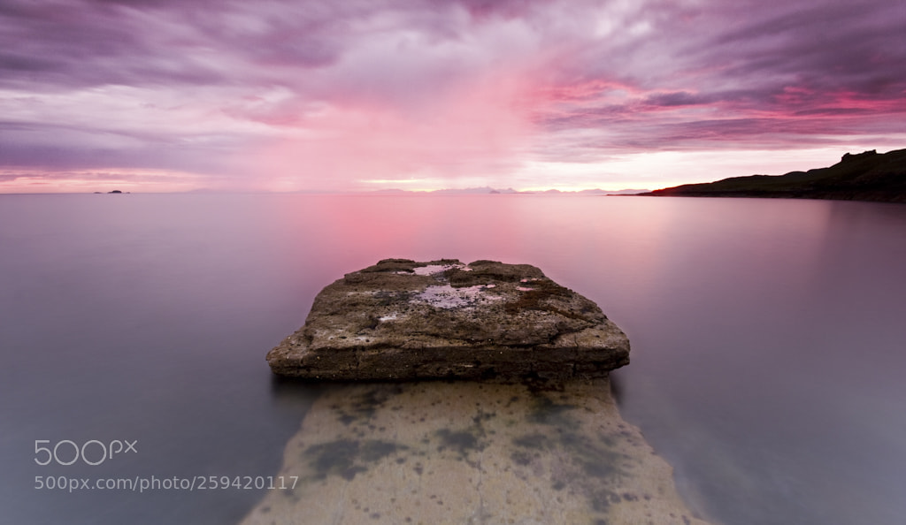 Canon EOS 40D sample photo. Soft pink photography