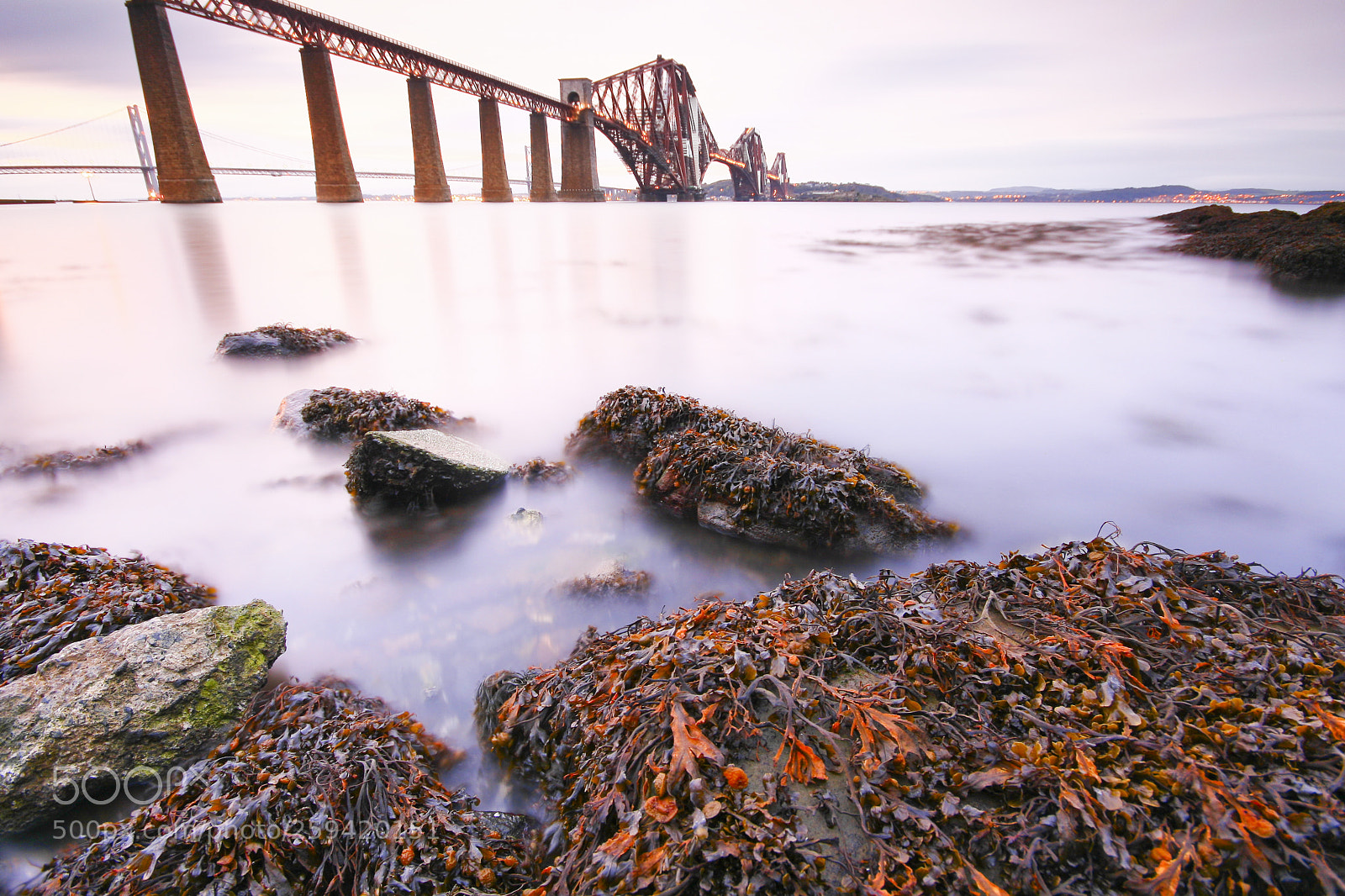 Canon EOS 400D (EOS Digital Rebel XTi / EOS Kiss Digital X) sample photo. The forth rail bridge photography