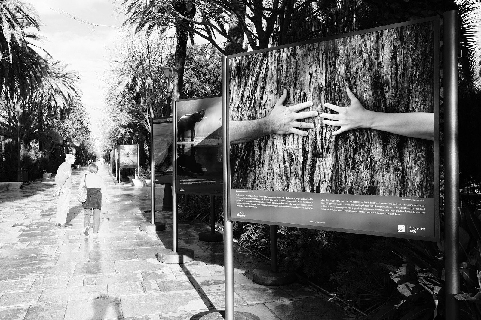 Fujifilm X-Pro2 sample photo. Hand to hand photography