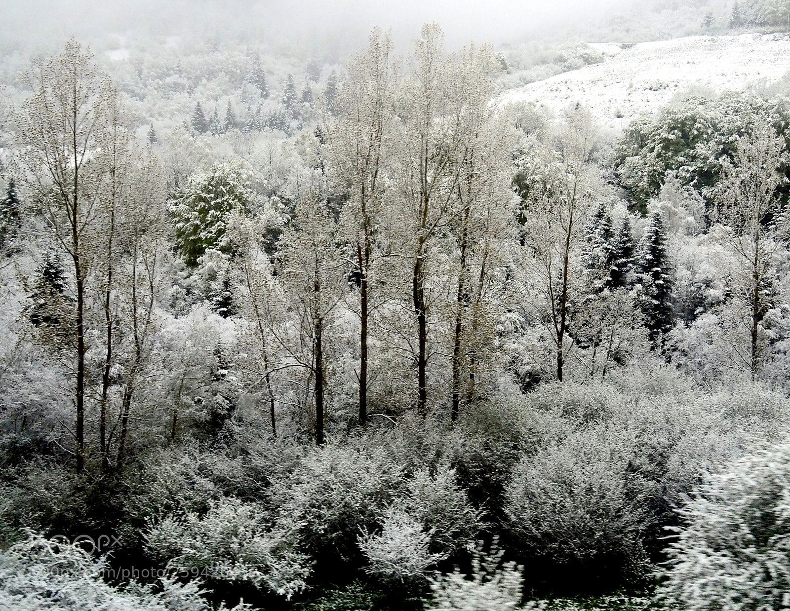 Olympus OM-D E-M5 II sample photo. Late spring snowfall photography