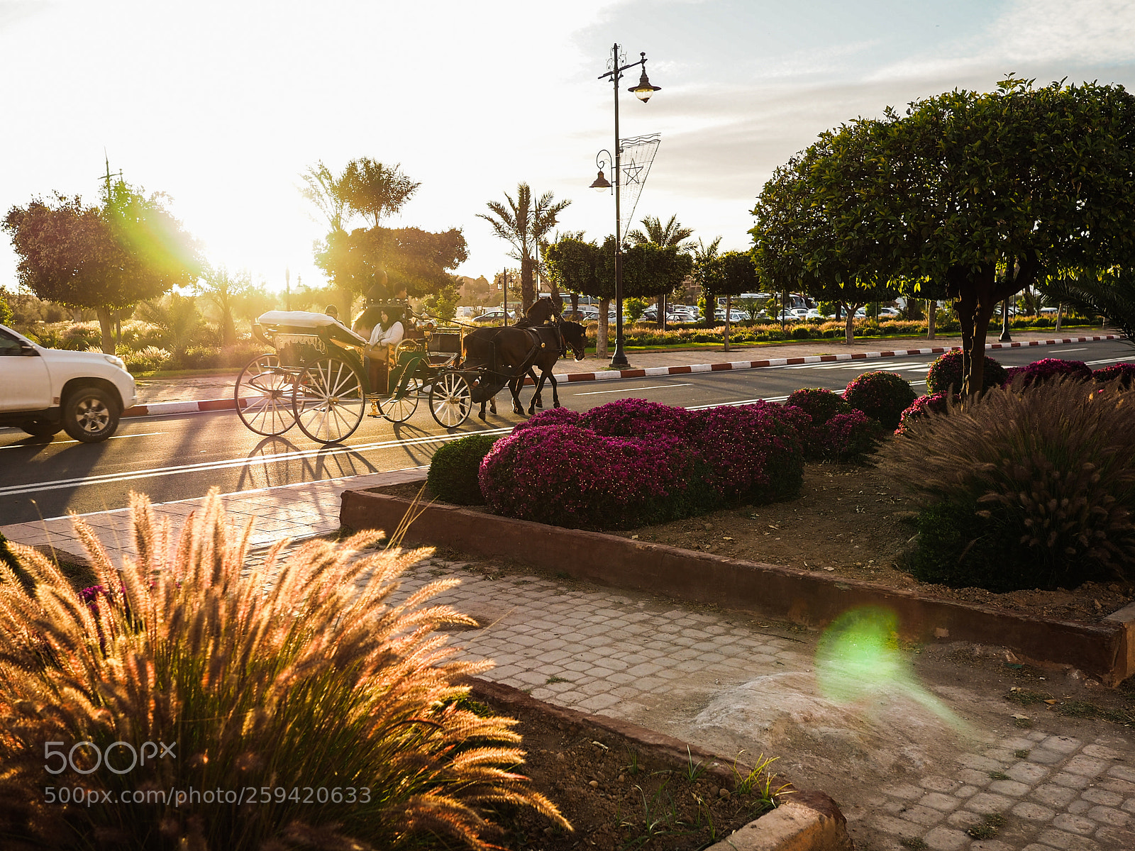 Olympus OM-D E-M5 II sample photo. Wagons at marrakech photography