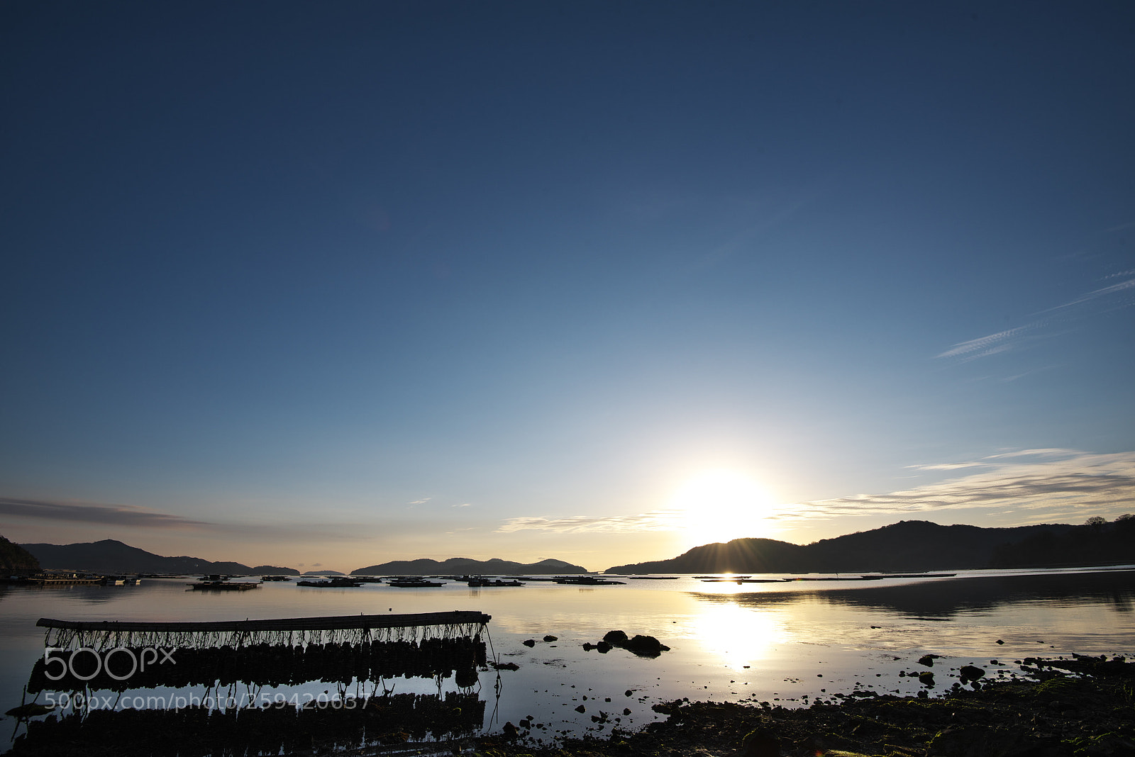 Nikon D750 sample photo. 虫明の牡蠣筏 photography