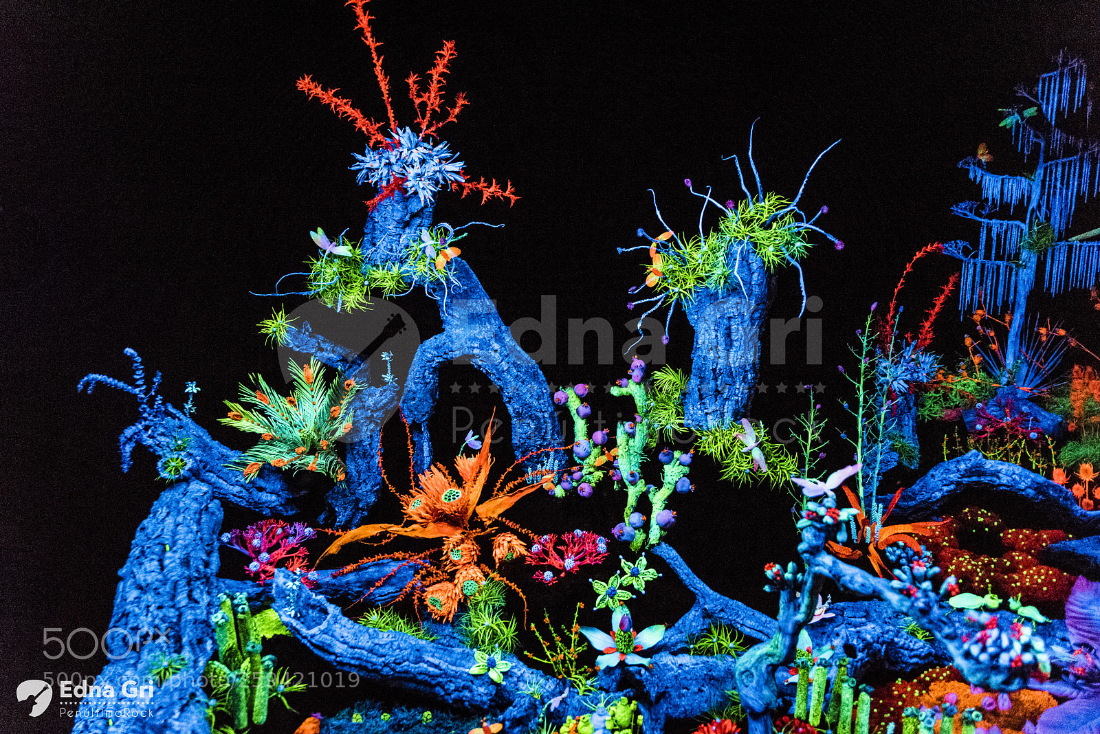 Nikon D750 sample photo. Temps de flors 2018 photography