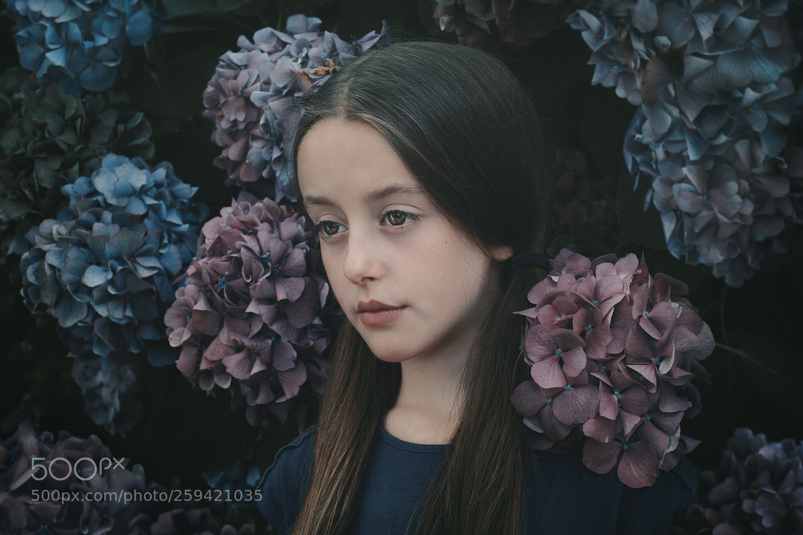 Nikon D810 sample photo. The certainty of solitude photography