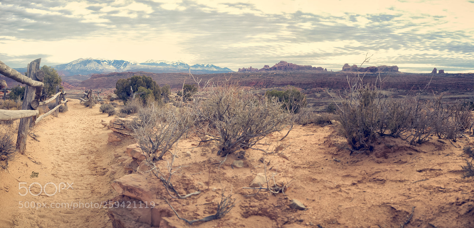 Nikon D610 sample photo. Taking a walk by photography