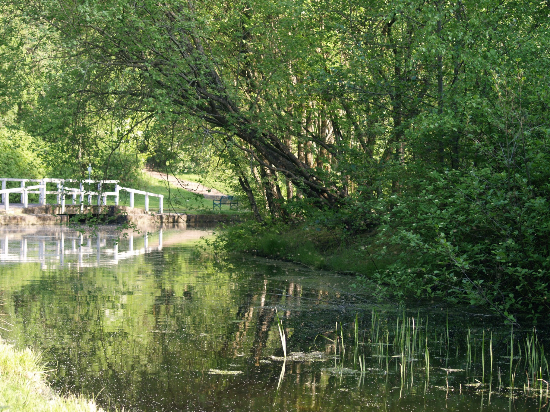 Olympus E-400 (EVOLT E-400) sample photo. Canal bank  photography