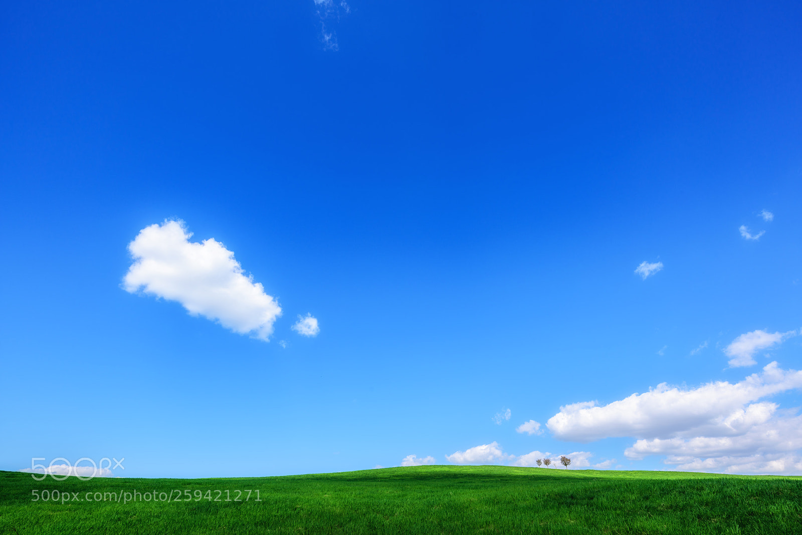Nikon D810 sample photo. The boundless sky photography