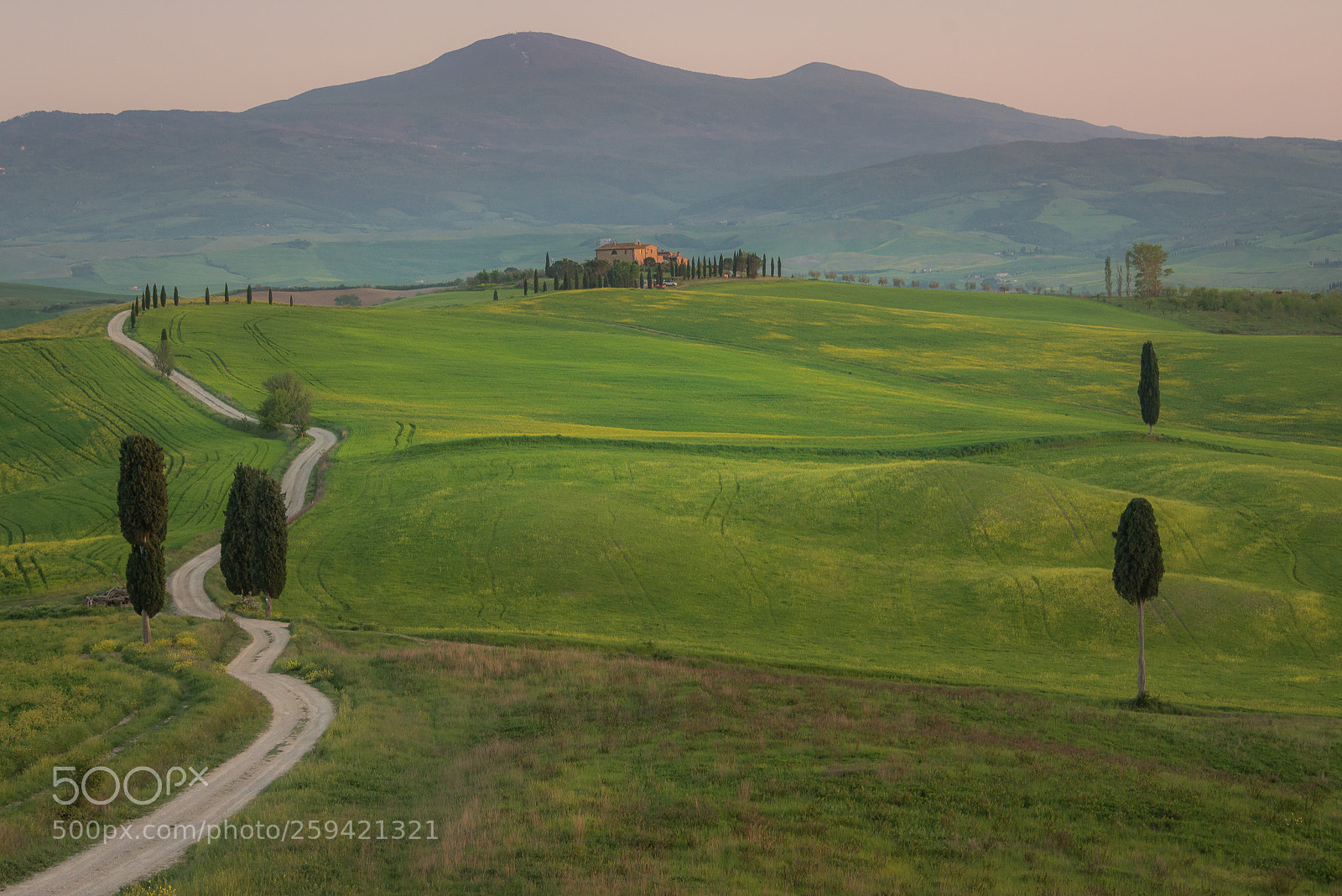 Nikon D800E sample photo. Gladiator road photography