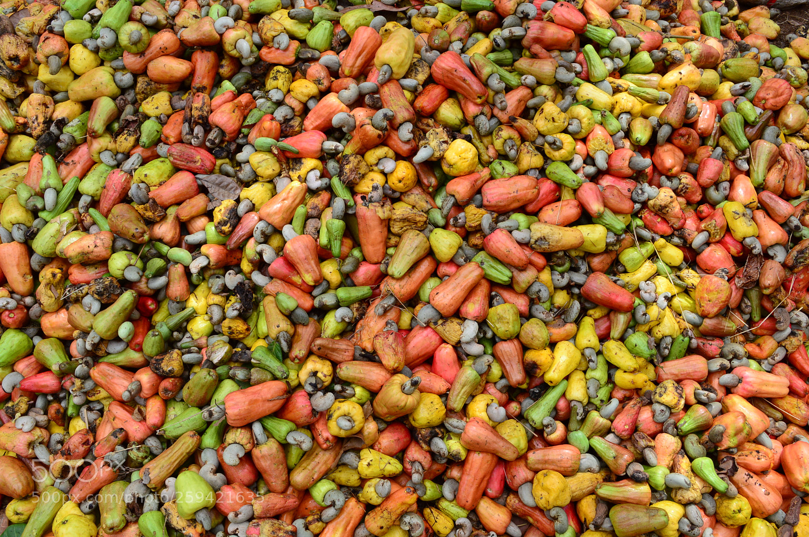 Nikon D3200 sample photo. Just cashews. photography