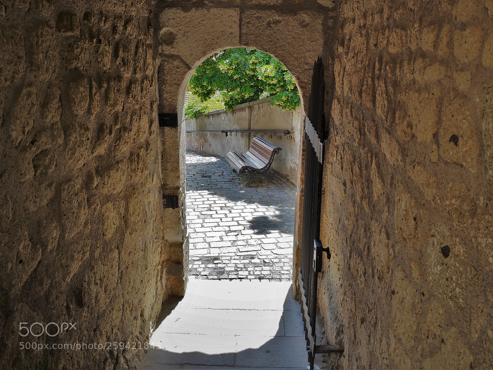 Olympus OM-D E-M1 Mark II sample photo. Gate to the present photography