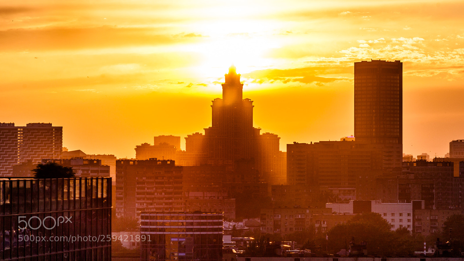 Canon EOS 5D Mark II sample photo. Sunny rays photography