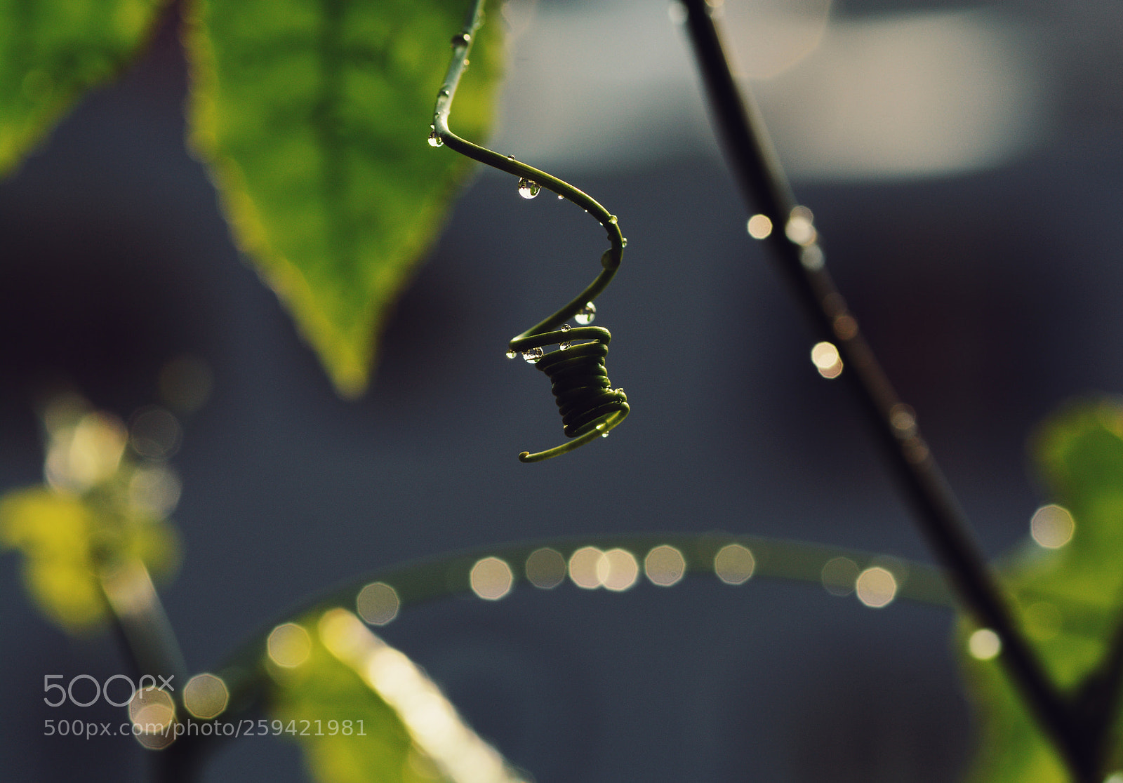 Nikon D7100 sample photo. Untitled photography