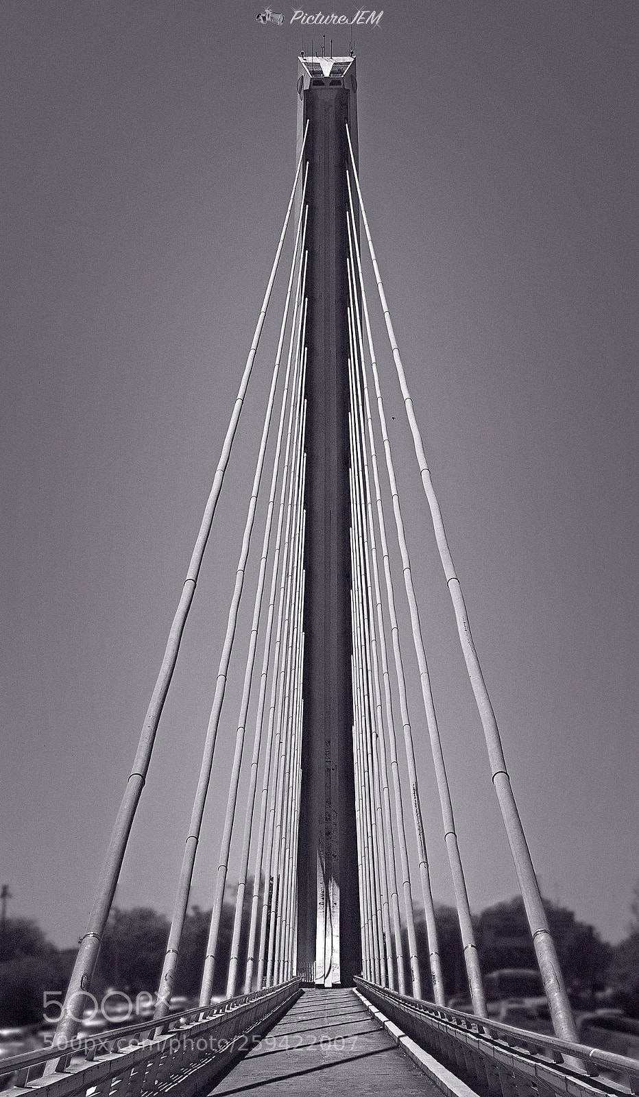 Nikon D5500 sample photo. Puente del alamillo sevilla photography