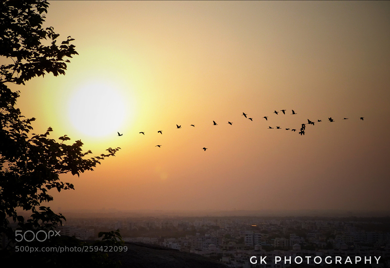 Panasonic Lumix DMC-FZ200 sample photo. Sunset with birds. photography