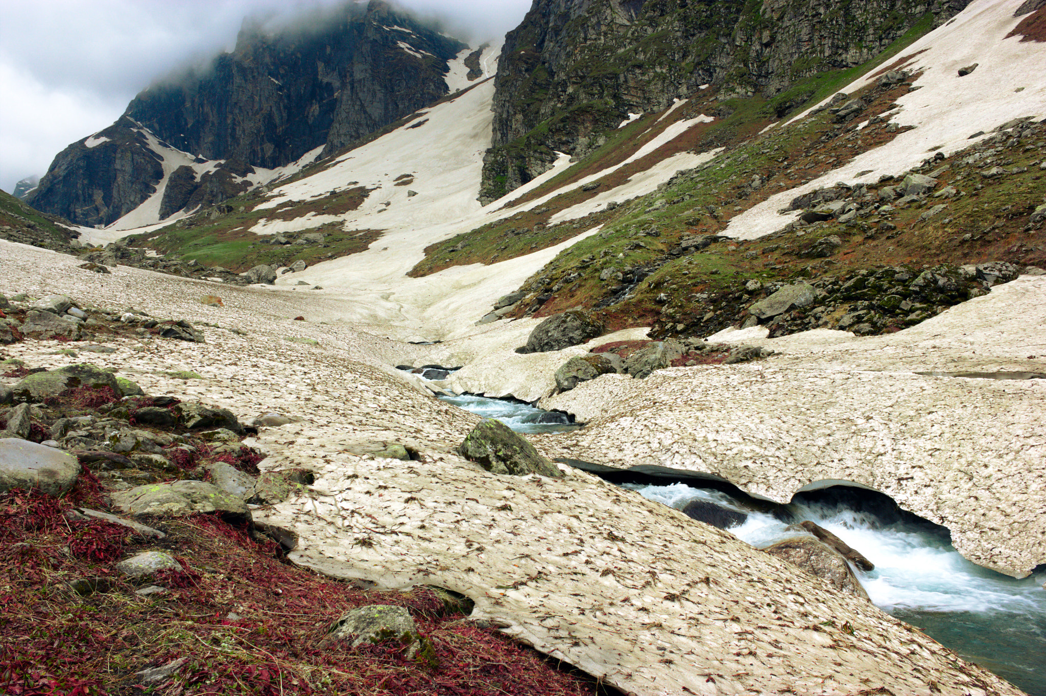 Canon EOS 550D (EOS Rebel T2i / EOS Kiss X4) sample photo. Colours on a trek photography