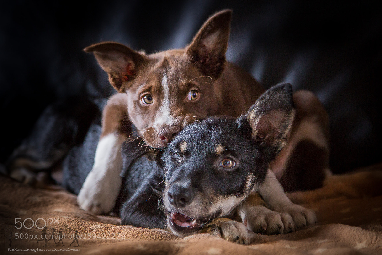 Canon EOS 6D sample photo. Rebel & gotan photography