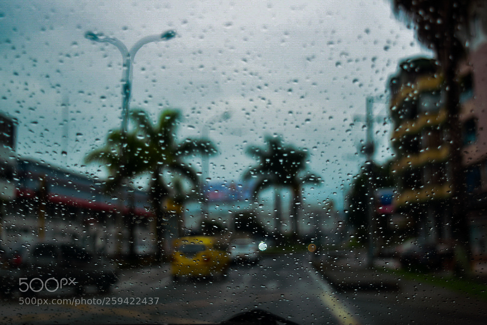 Nikon D5500 sample photo. Citizen photography