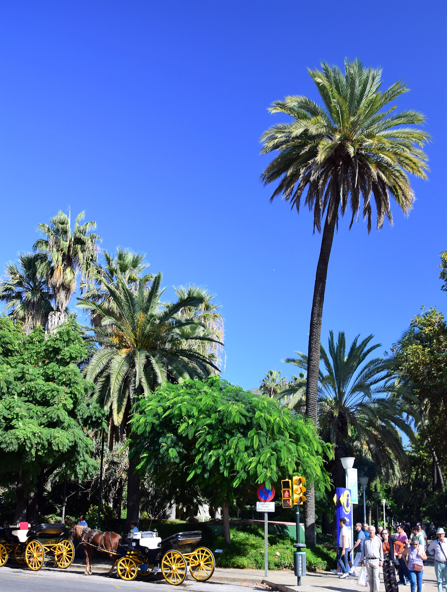 Nikon D5300 sample photo. Streetlife malaga / spain photography