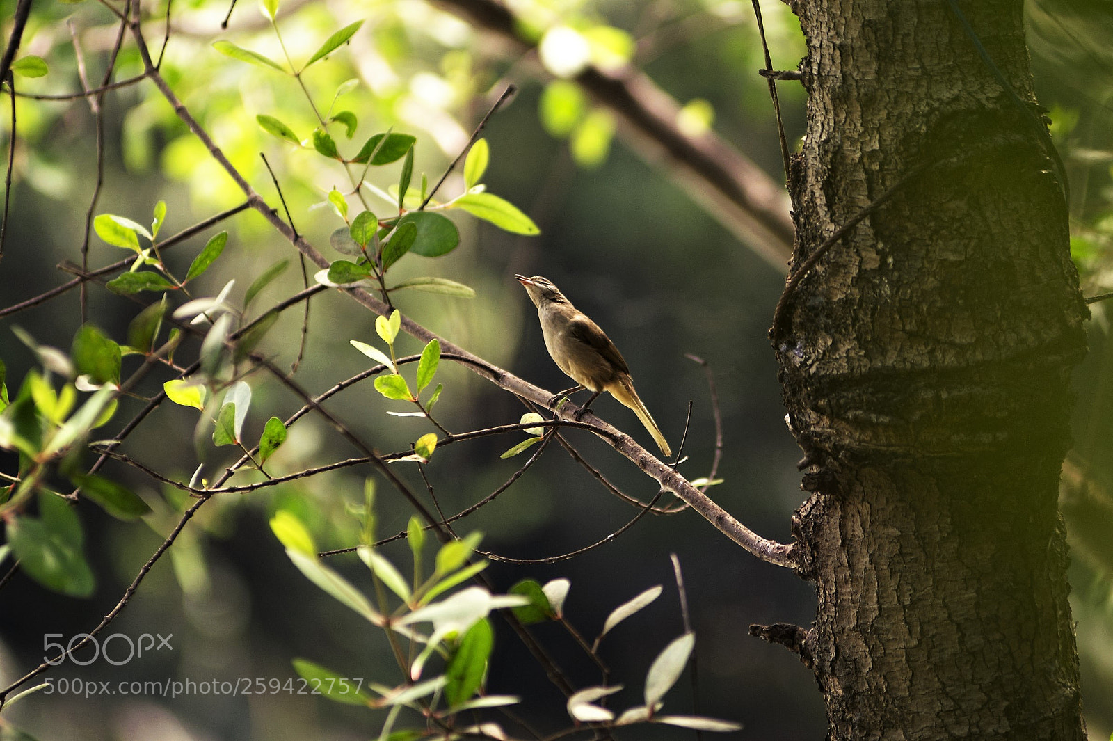 Nikon D700 sample photo. Nature photography