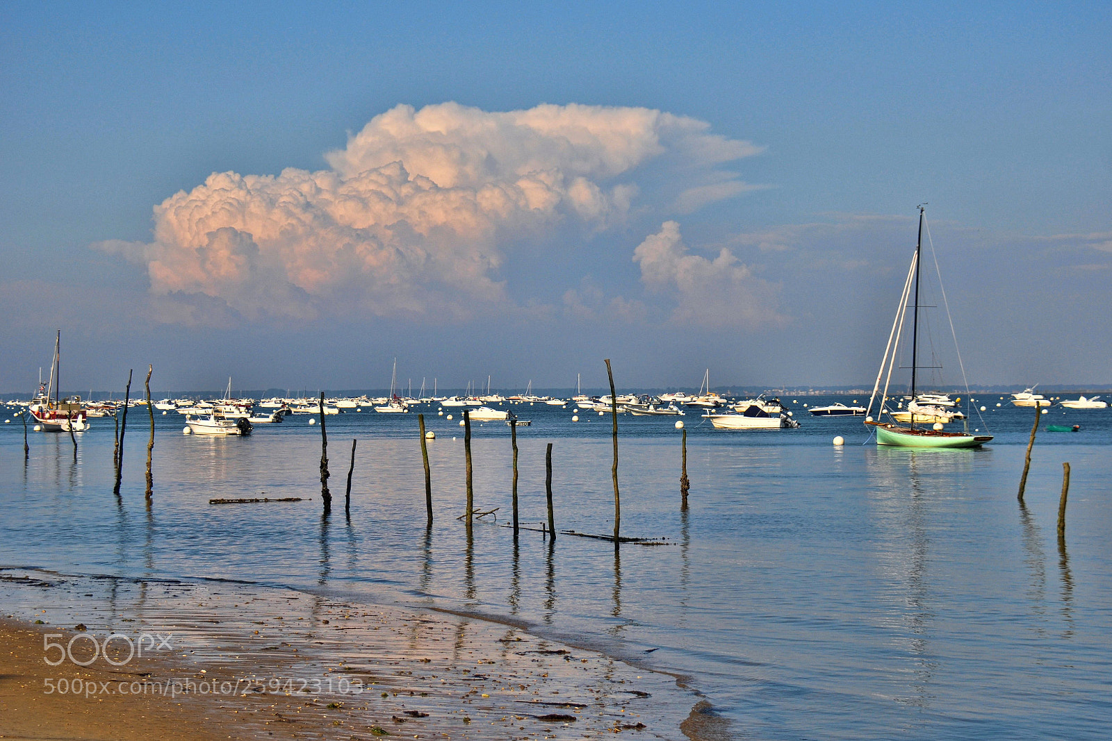 Nikon D90 sample photo. The storm will arrive photography
