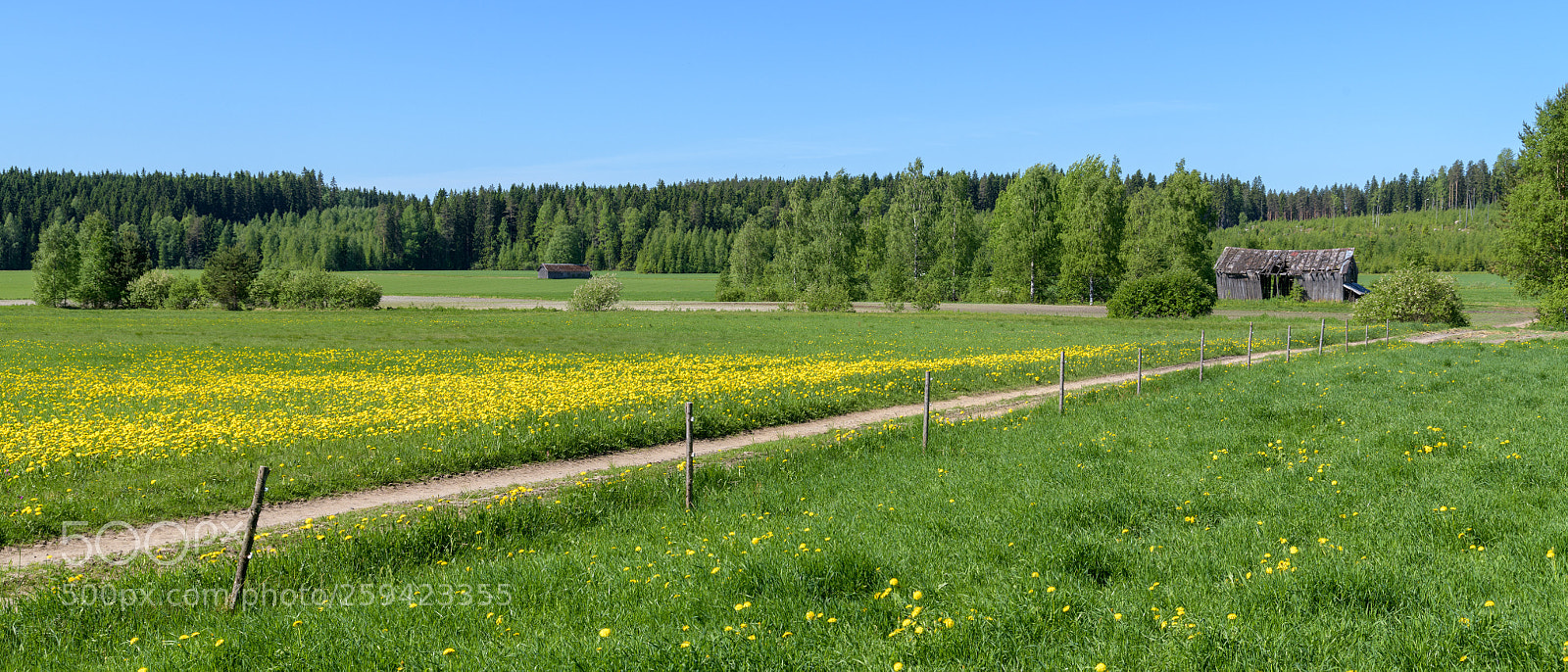 Nikon D850 sample photo. Finland countryside photography