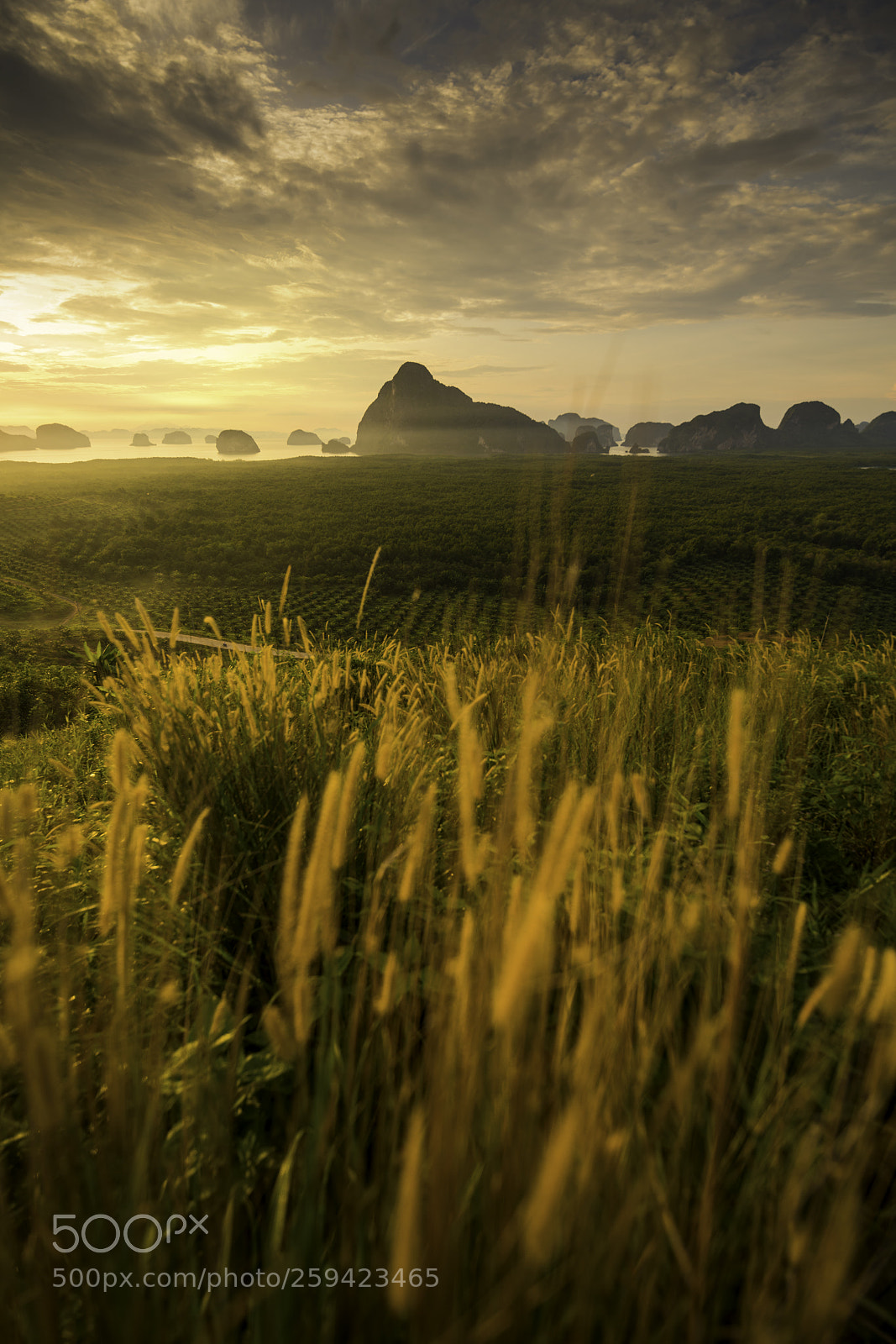 Nikon D850 sample photo. Beautiful sun rise at photography