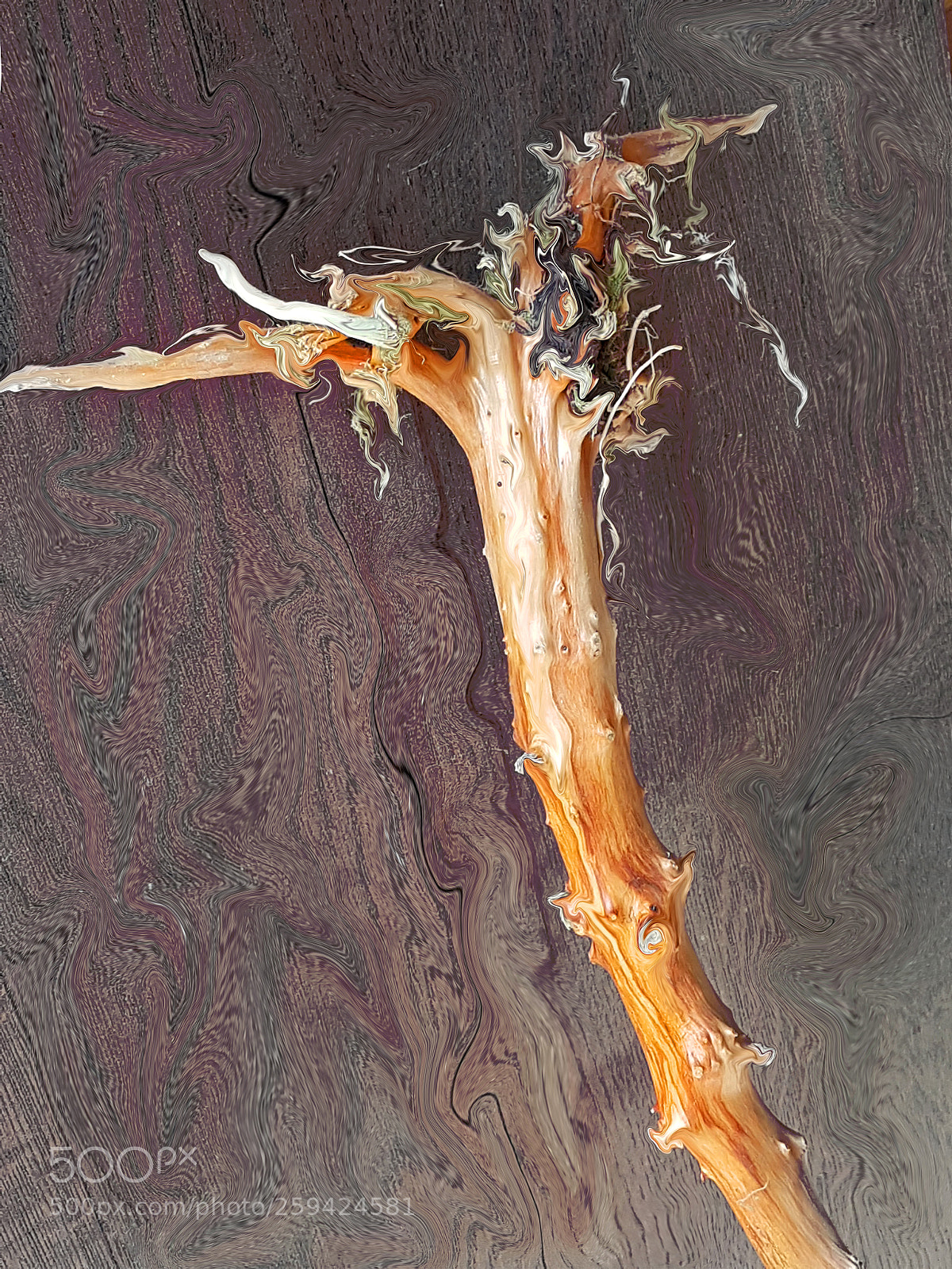 Samsung Galaxy S7 sample photo. Wood's change photography