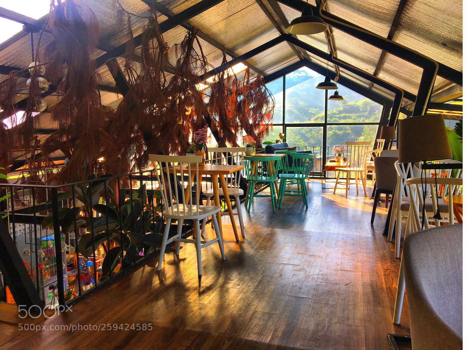 Apple iPhone 6s sample photo. La la land homestay photography