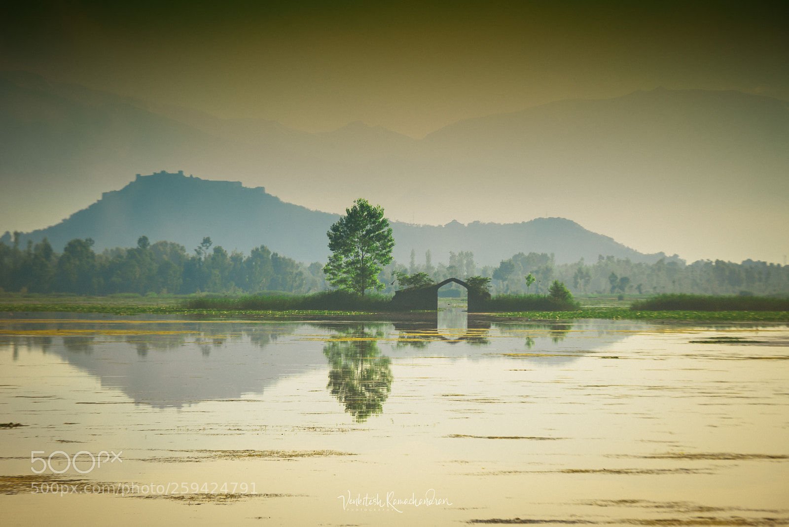 Nikon D750 sample photo. A view of dal photography