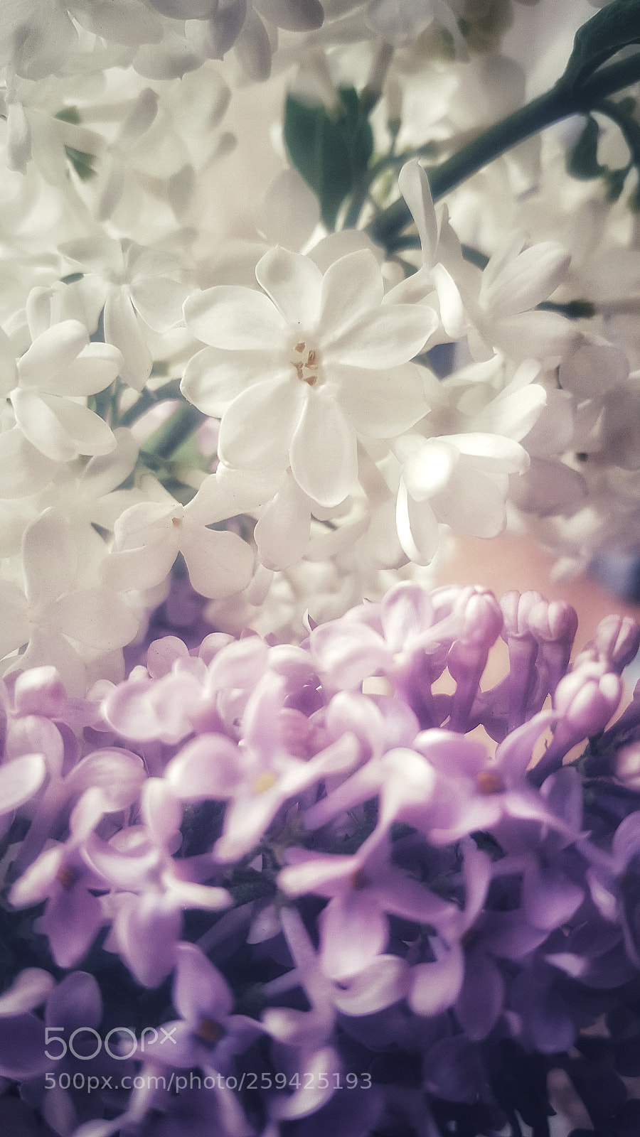 Samsung Galaxy Note5 sample photo. Vintage world photography