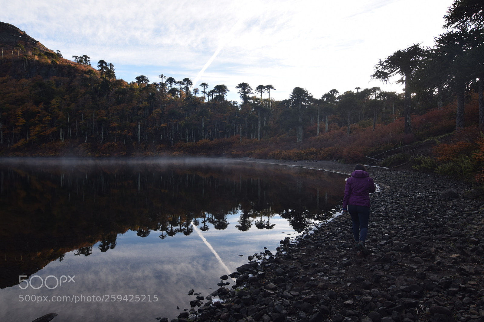 Nikon D5300 sample photo. Untitled photography