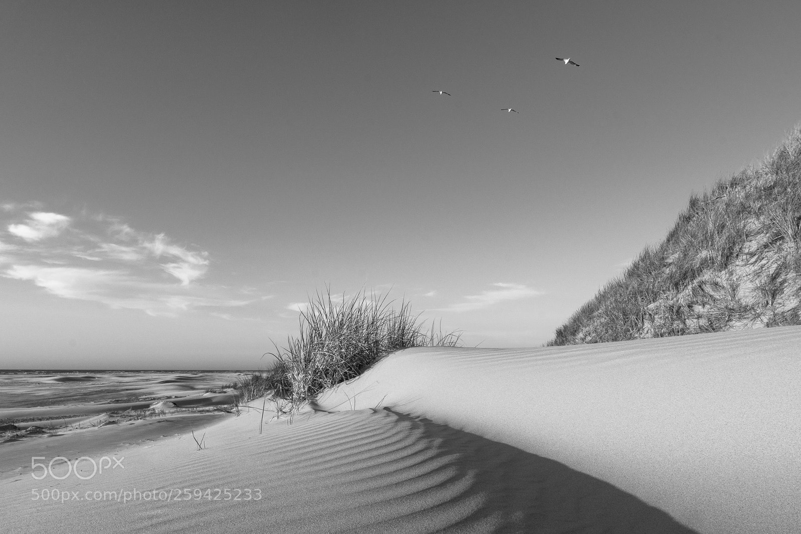 Sony a6500 sample photo. Terschelling beach photography