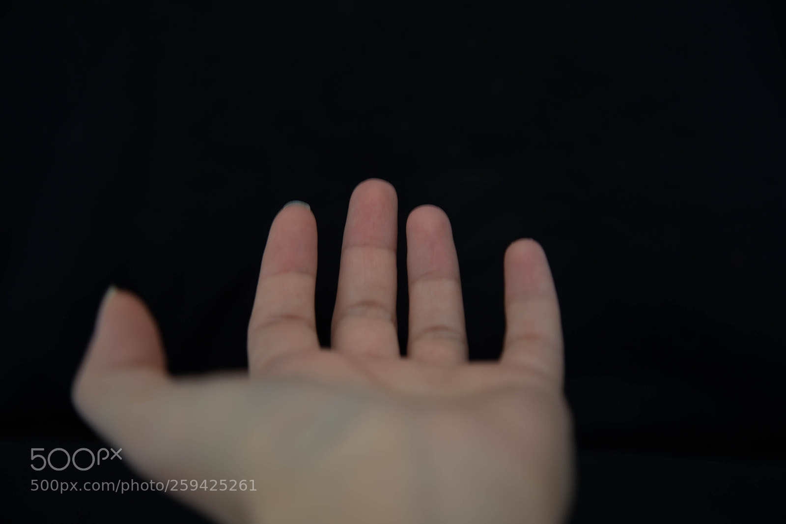 Canon EOS 6D sample photo. Img photography