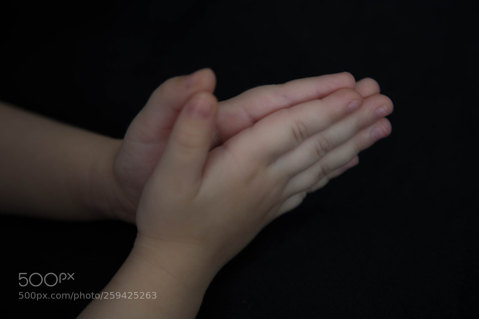 Canon EOS 6D sample photo. Img photography