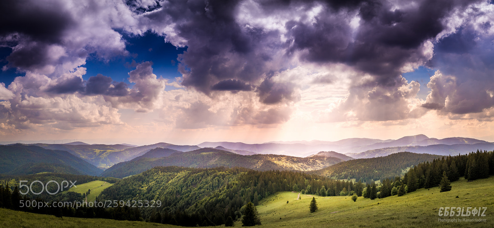 Sony ILCA-77M2 sample photo. The black forest ii photography