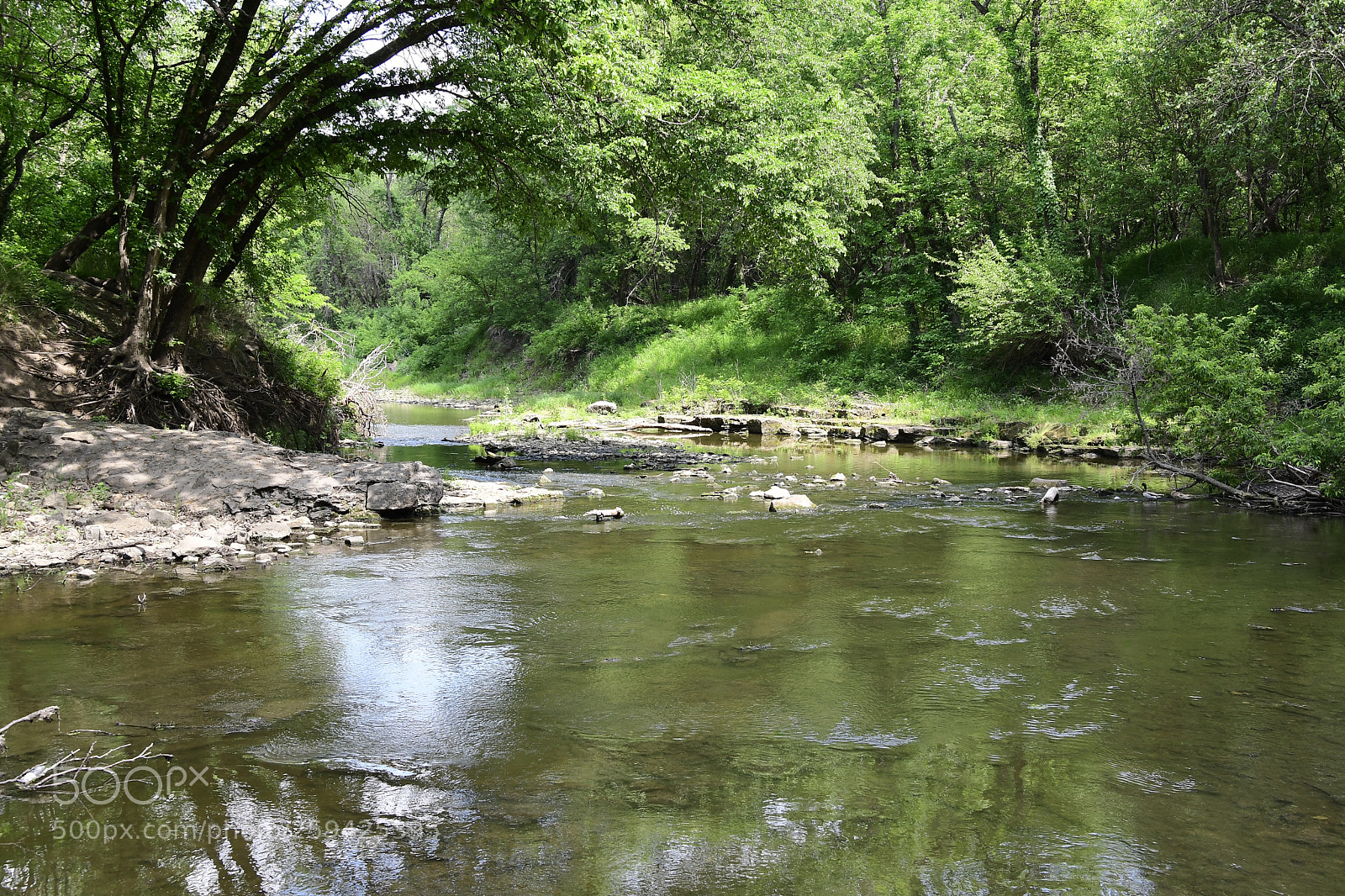 Nikon D500 sample photo. Relaxing place  photography