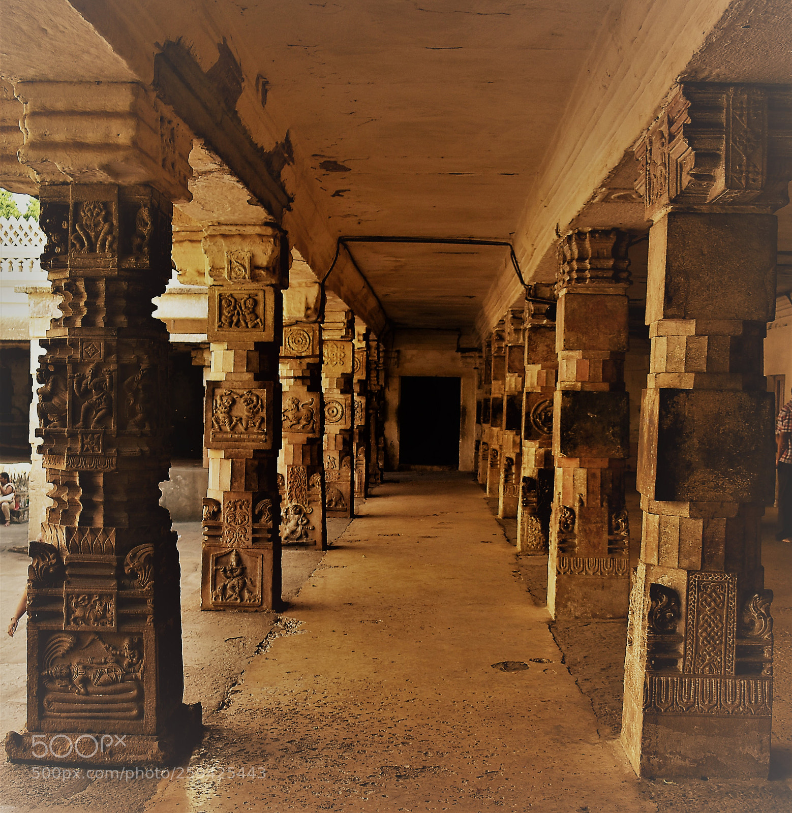 Nikon D3400 sample photo. Pillars of cheluvanaraya swamy photography